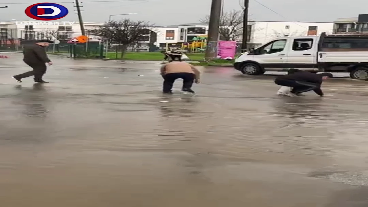 Bodrum'da Park Taştı