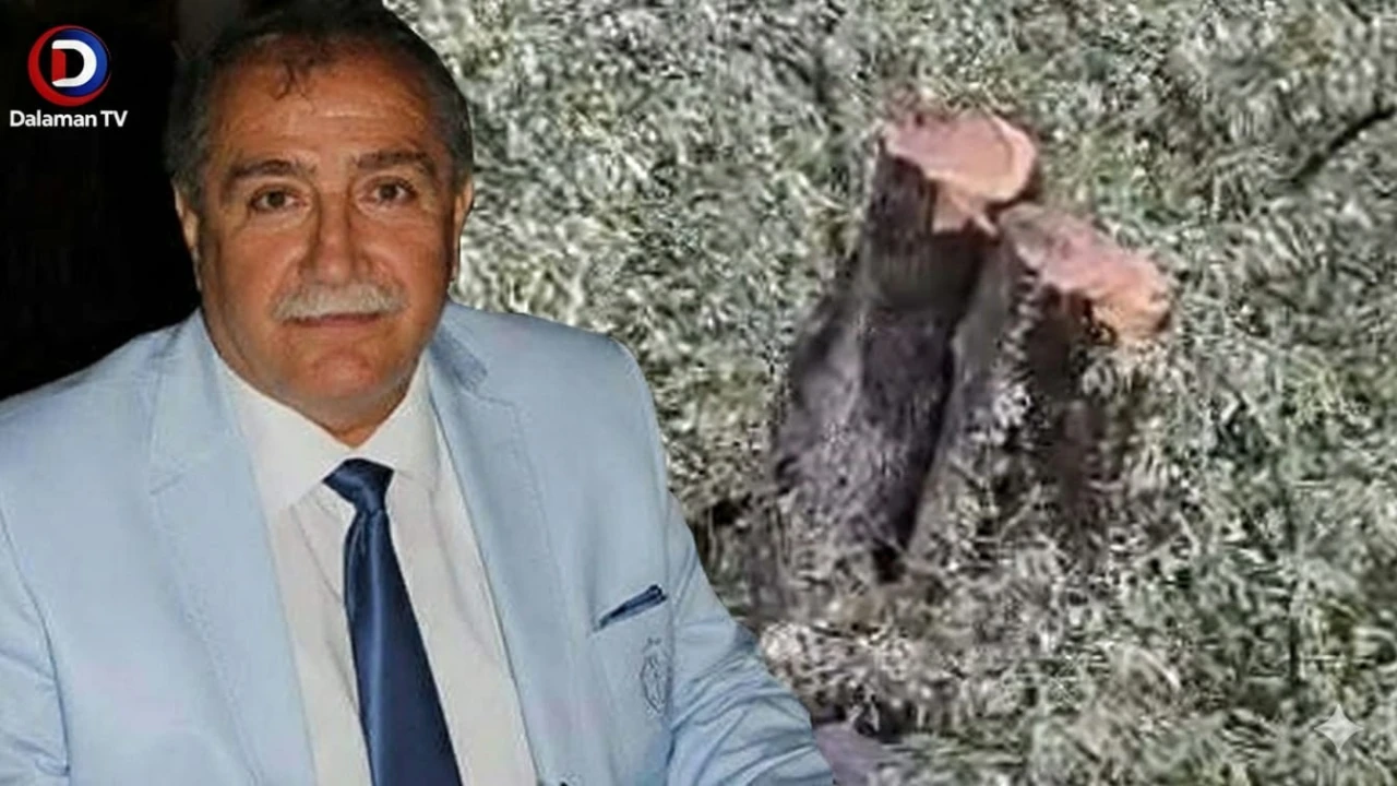 Milas'ta Zeytin Kavgası İstifayla Bitti