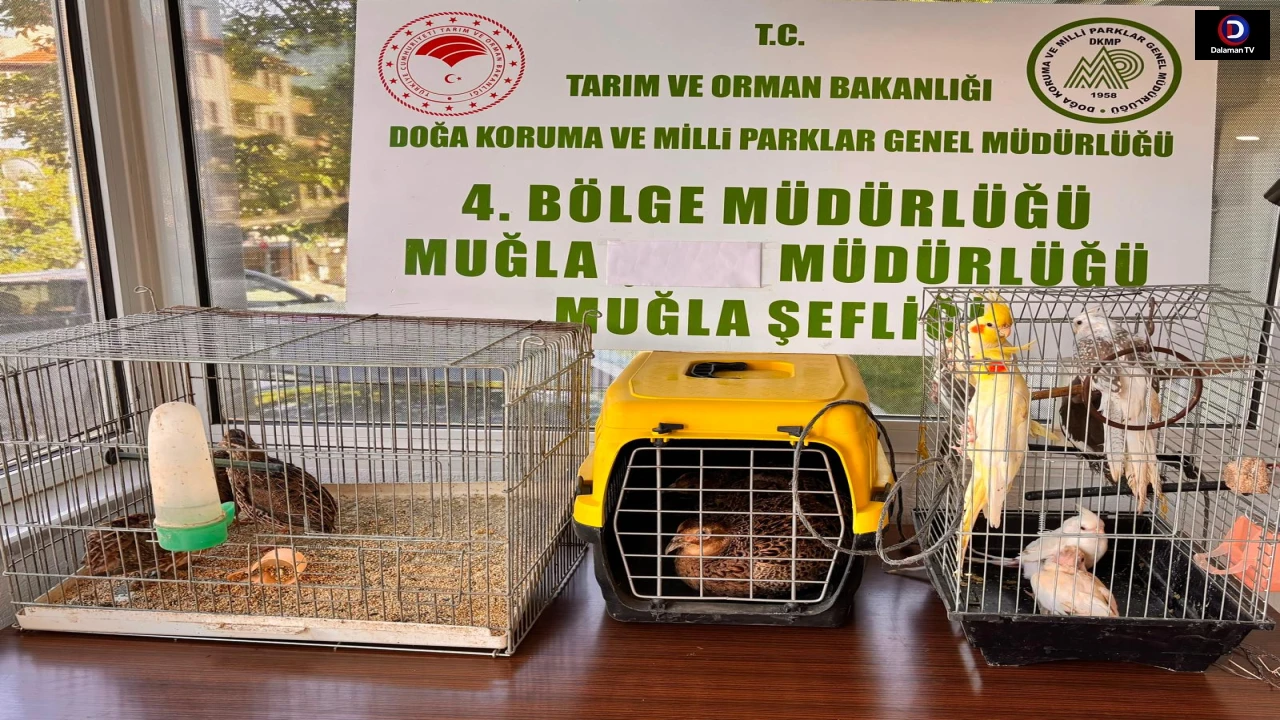 Ula İlçesinde CİMER şikayetine