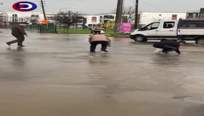 Bodrum'da Park Taştı