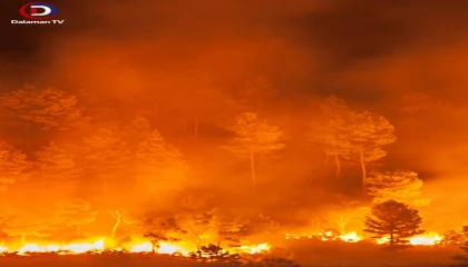 Muğla da ilk yangın korkuttu