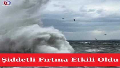 Marmaris Sallanıyor