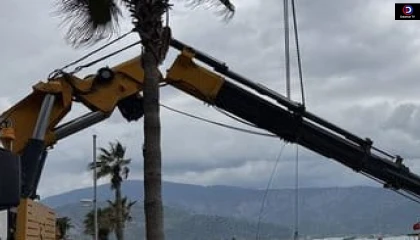 Marmaris’teki Vinç Faciasında İki Tutuklama