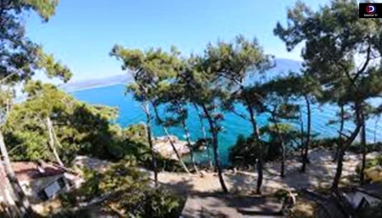 BASIN AÇIKLAMASI